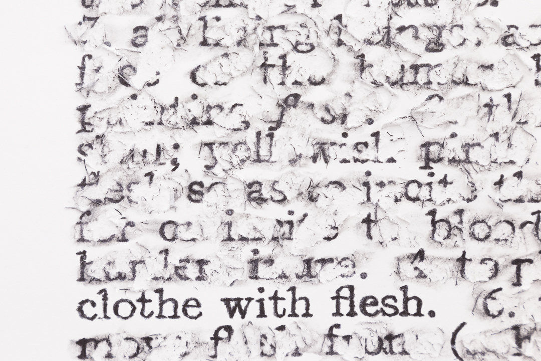 Flesh, 1982