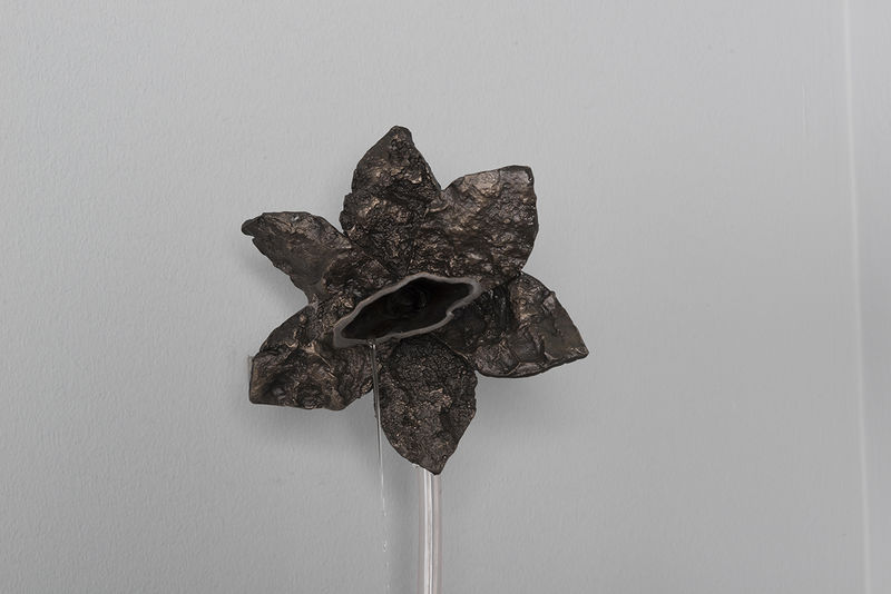 murmur II