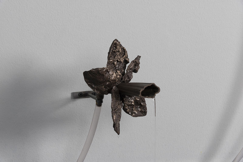 murmur IV