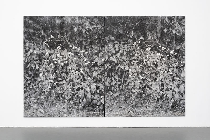 Field