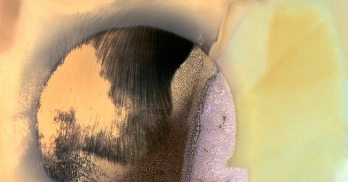 Portraits of Living Matter, in Brittany Nelson’s Photographic Works