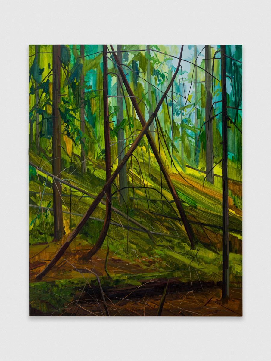 Claire Sherman; Trees; 2018
