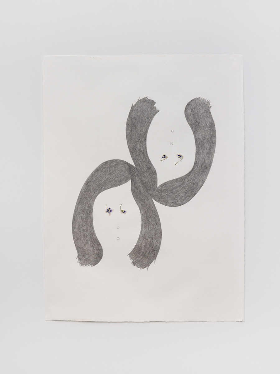 Alice Tippit; Door; 2024