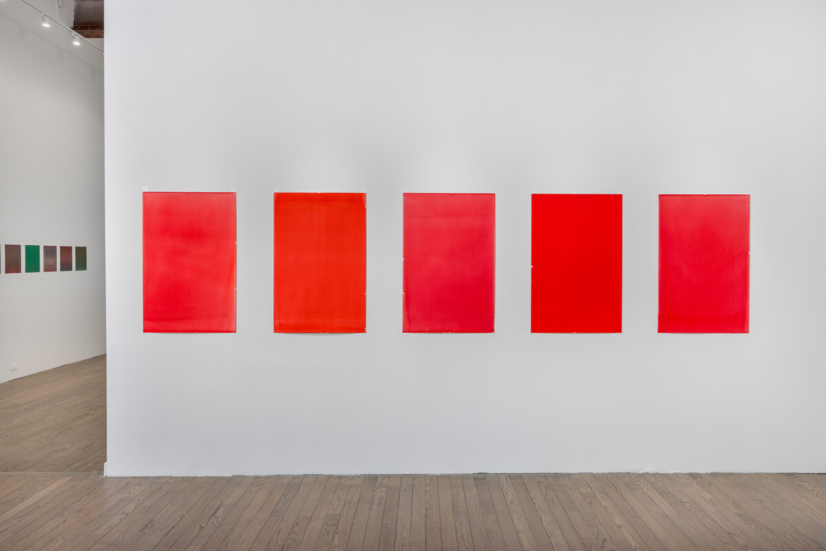 Patron Gallery | Miao Wang : the other