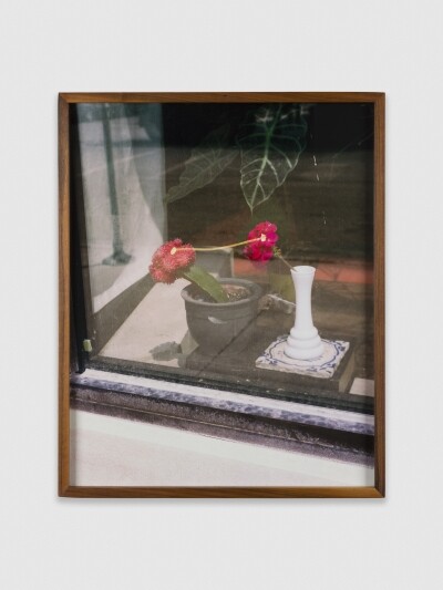 Alex Chitty; (Soft Chatter); 2016
