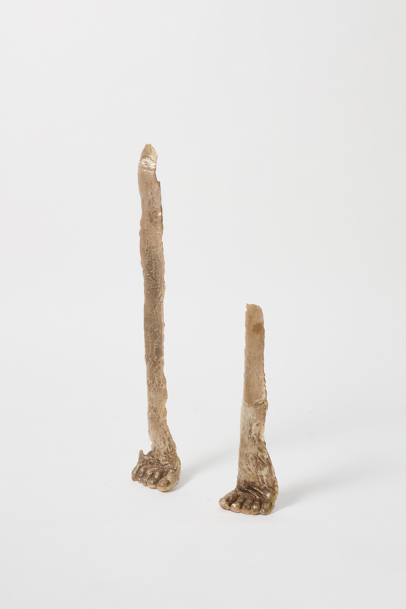 Soo Shin; A Gesture (To see further than the ocean); 2024