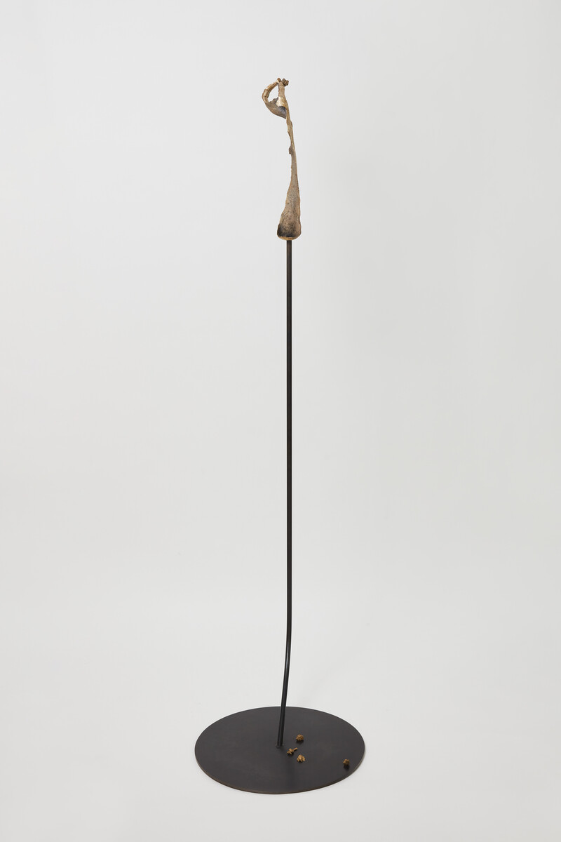 Soo Shin; We, Dandelions (A lift); 2024