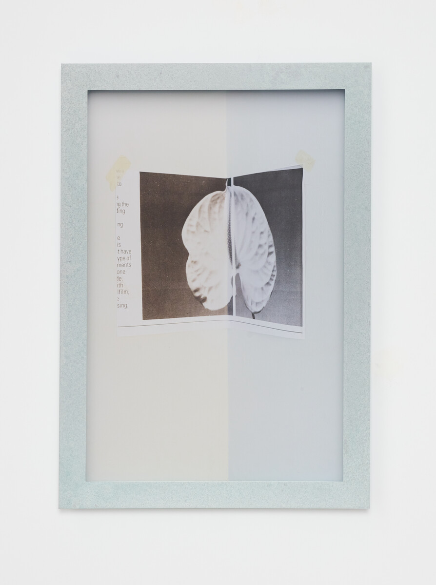Alex Chitty; Skin of the visible world; 2024