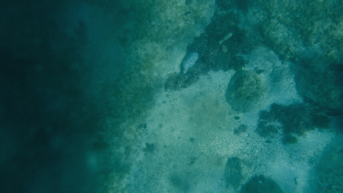 Simon Benjamin; Tidalectic No. 1; 2025