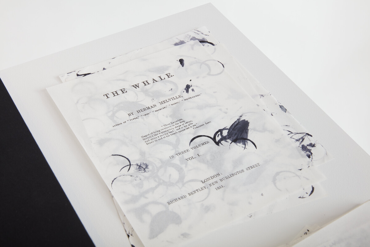 Bethany Collins; Or, the Whale, Vol. 1; 2024-25