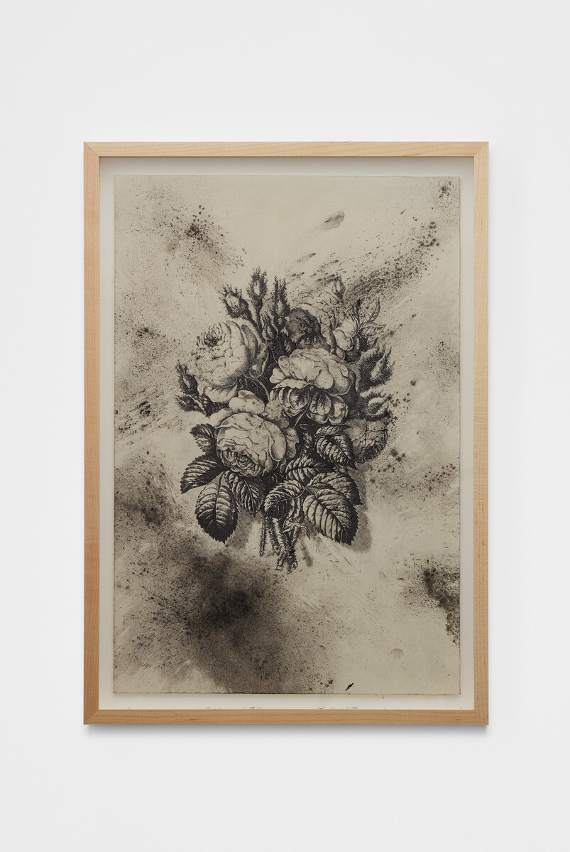 Bethany Collins; Moss Roses and Buds; 2025
