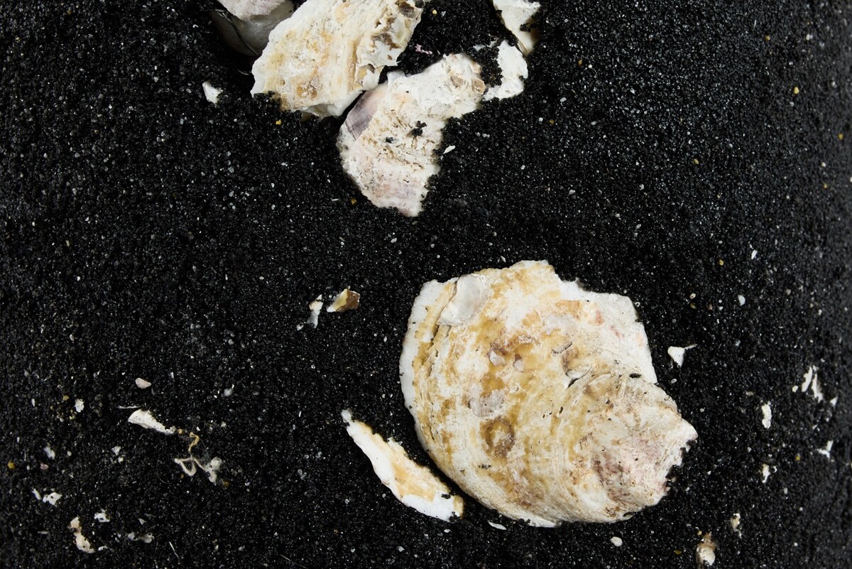 Simon Benjamin; Beeren Eylandt, Lenapehoking.NY.2025.06.19.002; 2025