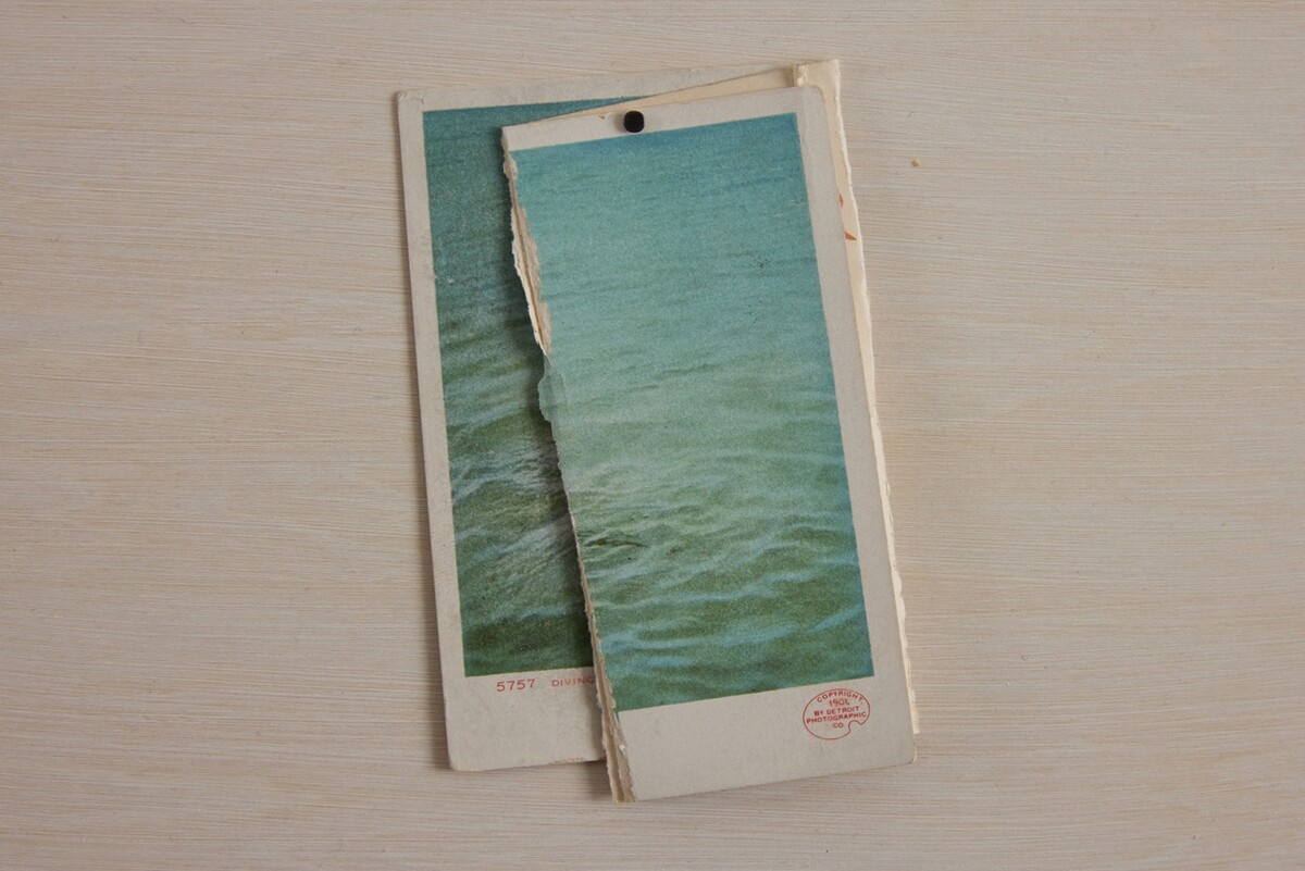 Simon Benjamin; Coin Diver 4; 2024