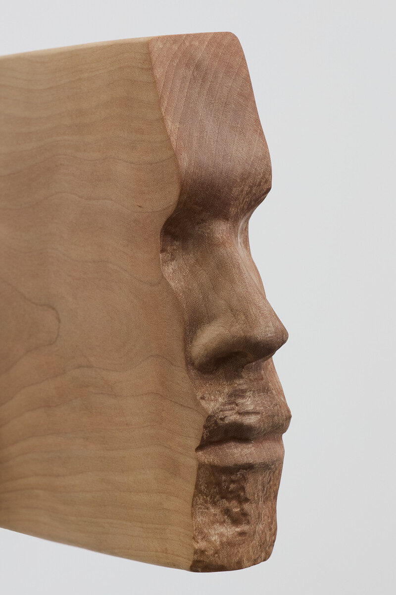 Daniel G. Baird; Psyche; 2026