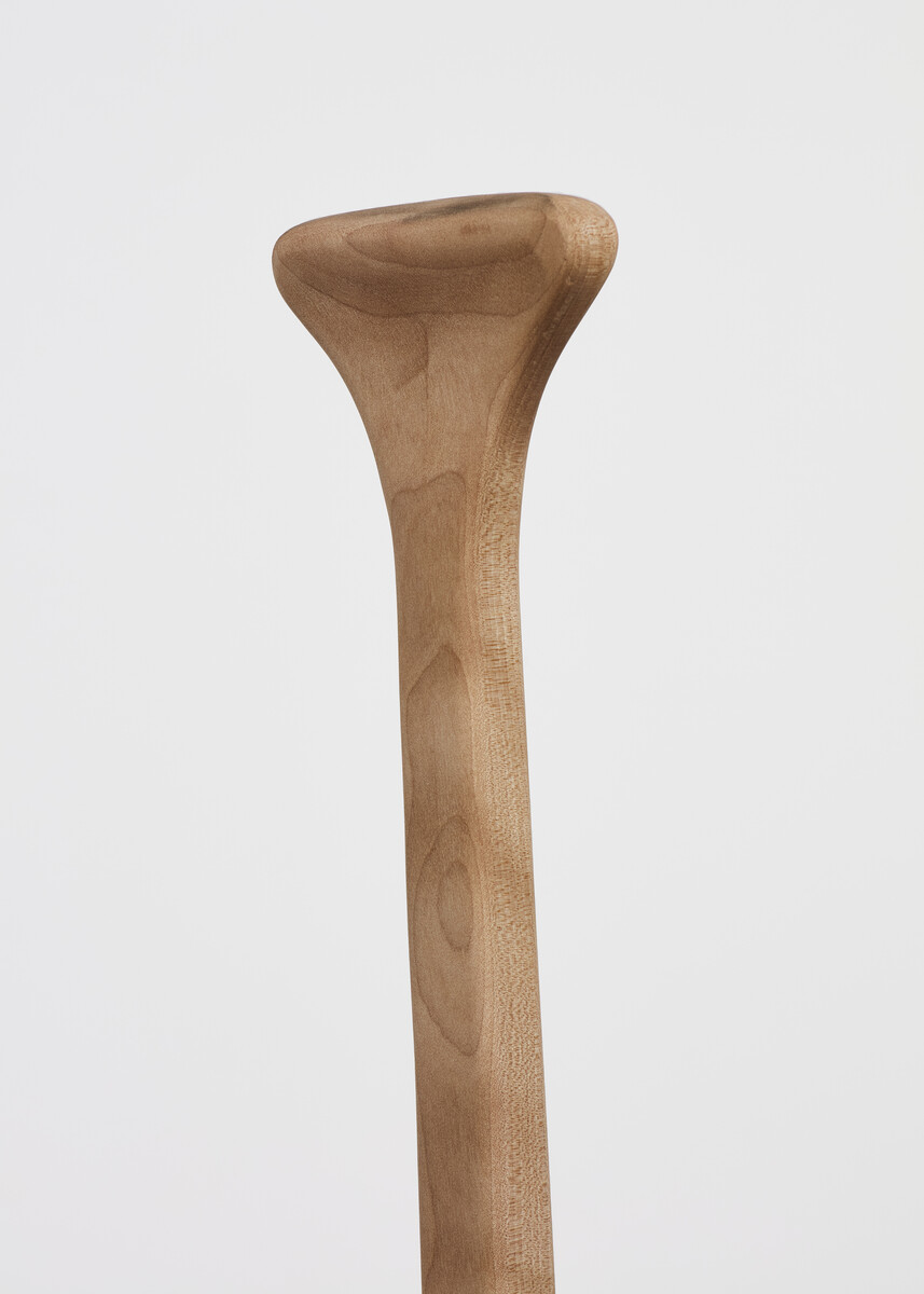 Daniel G. Baird; Psyche; 2026