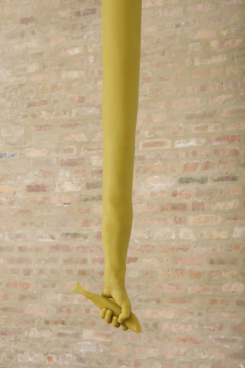 Daniel G. Baird; Lacuna; 2025