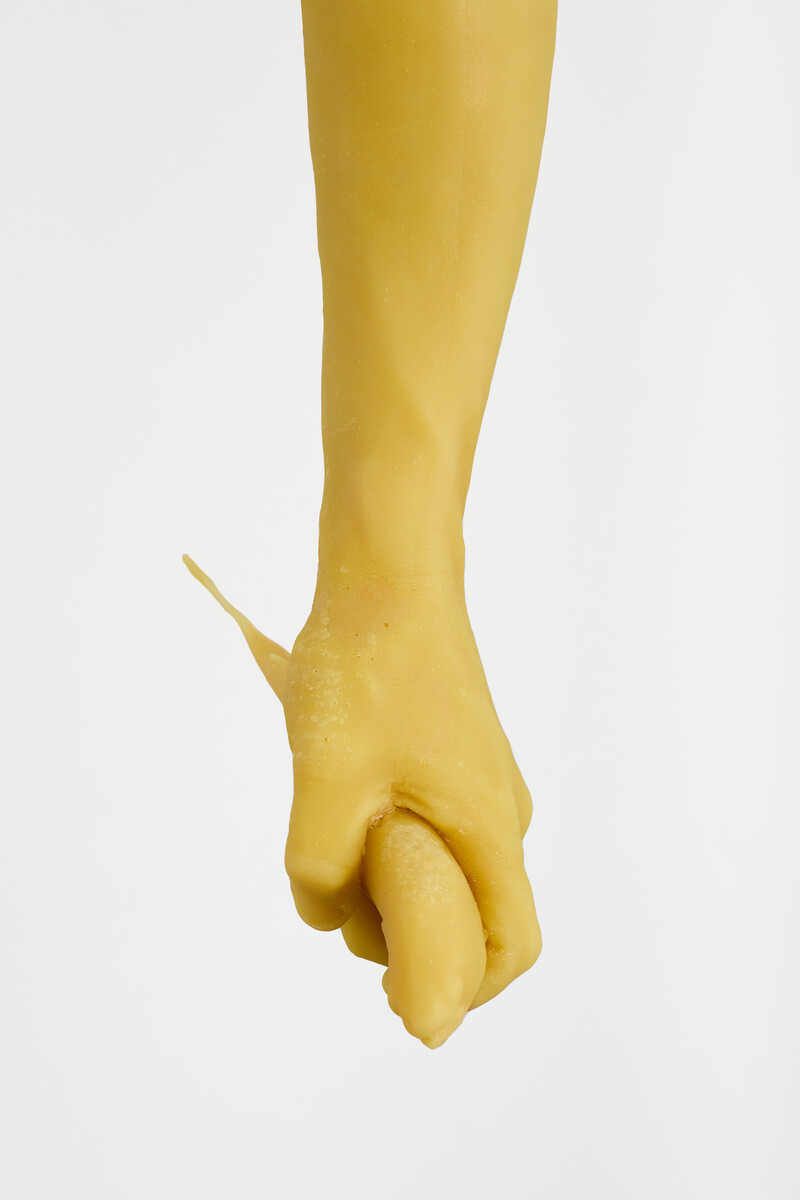 Daniel G. Baird; Lacuna; 2025