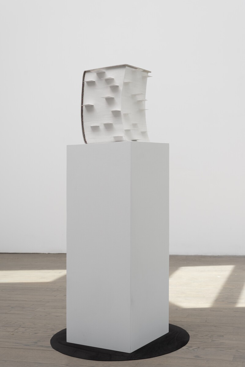 Nyeema Morgan; mark (studies for traps); 2026