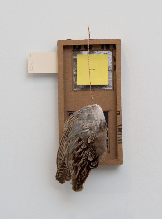 Nyeema Morgan; it’s nothing (studies for traps); 2026