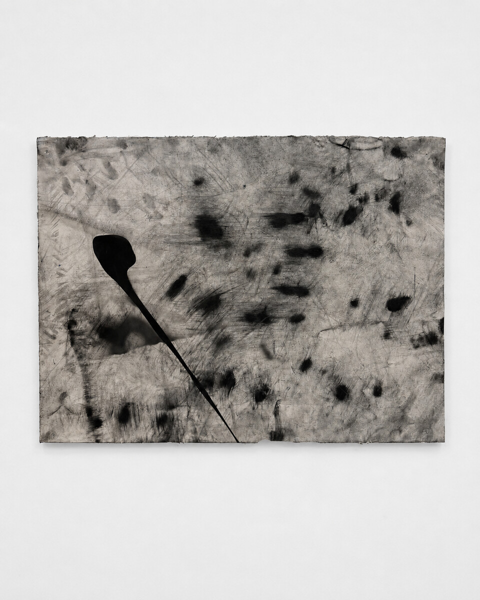 Tony Lewis; Untitled (Joe); 2024
