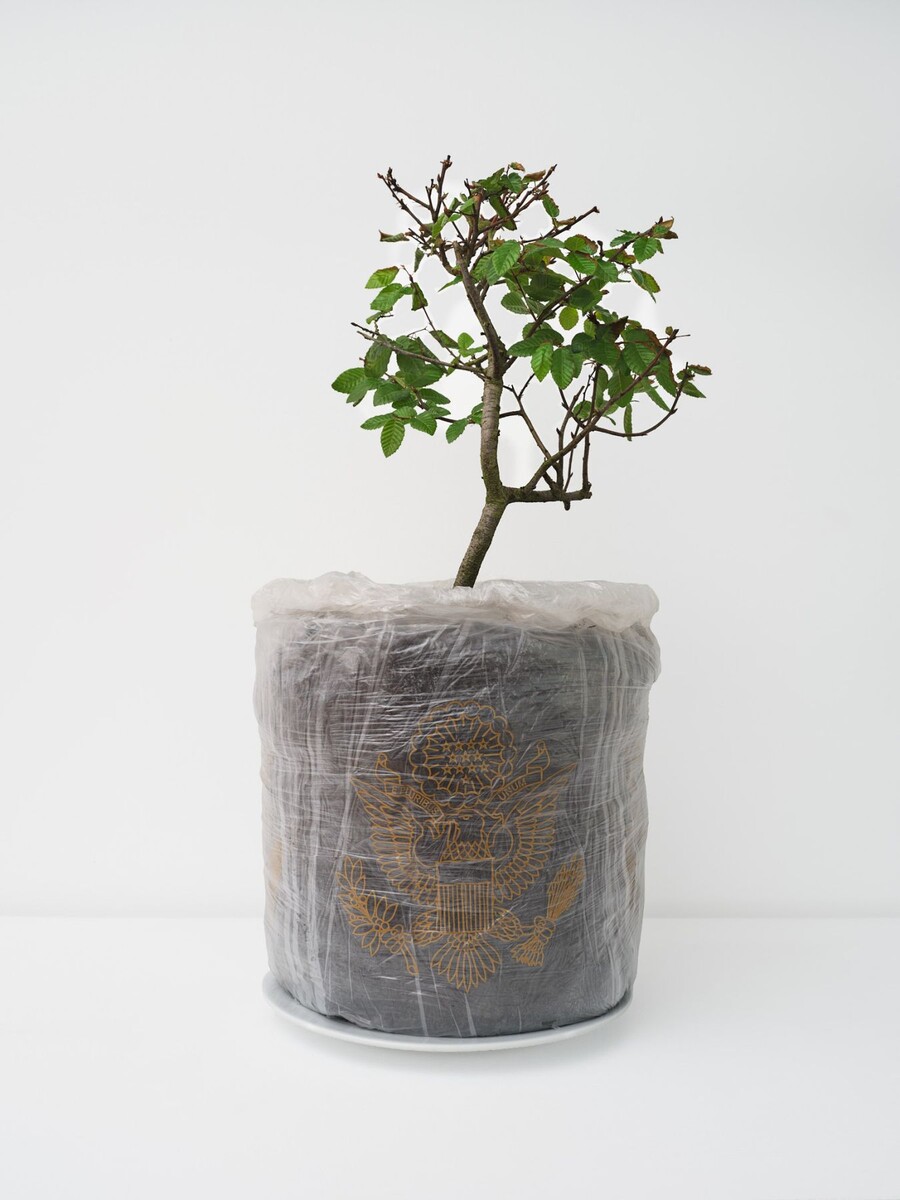 Gregory Bae; Dirt of Opportunities (#2); 2015/2026