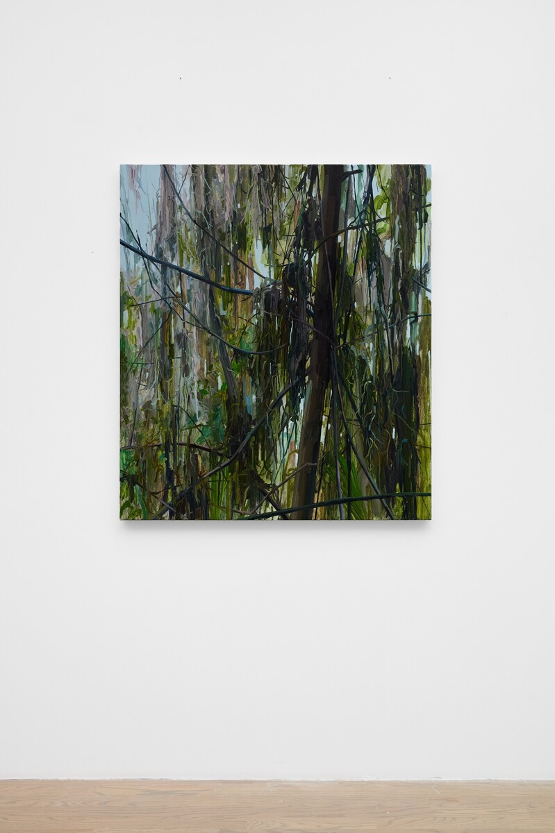 Claire Sherman; Tree and Moss; 2026