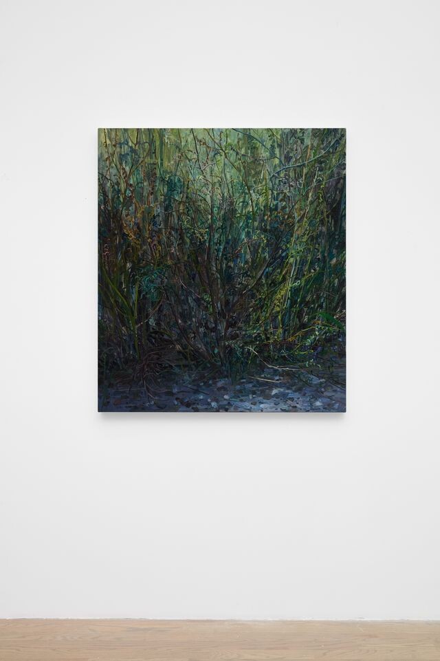 Claire Sherman; Underbrush; 2026