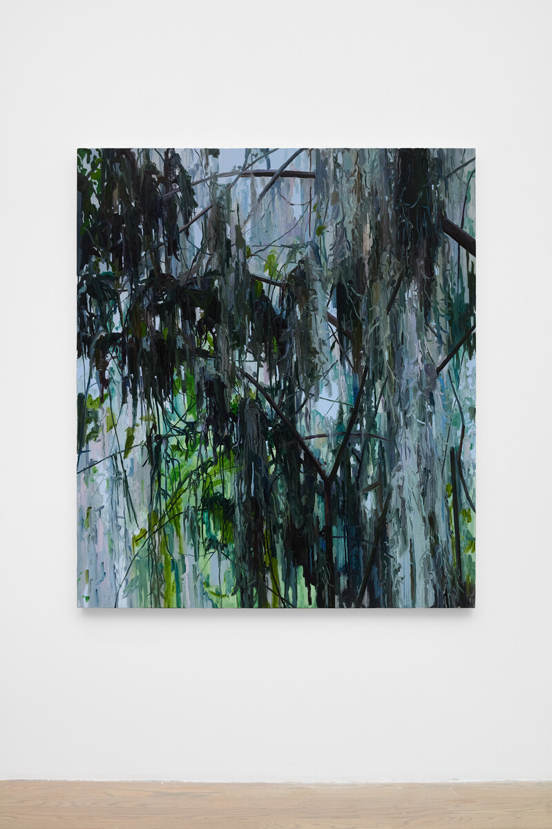 Claire Sherman; Trees and Moss; 2026
