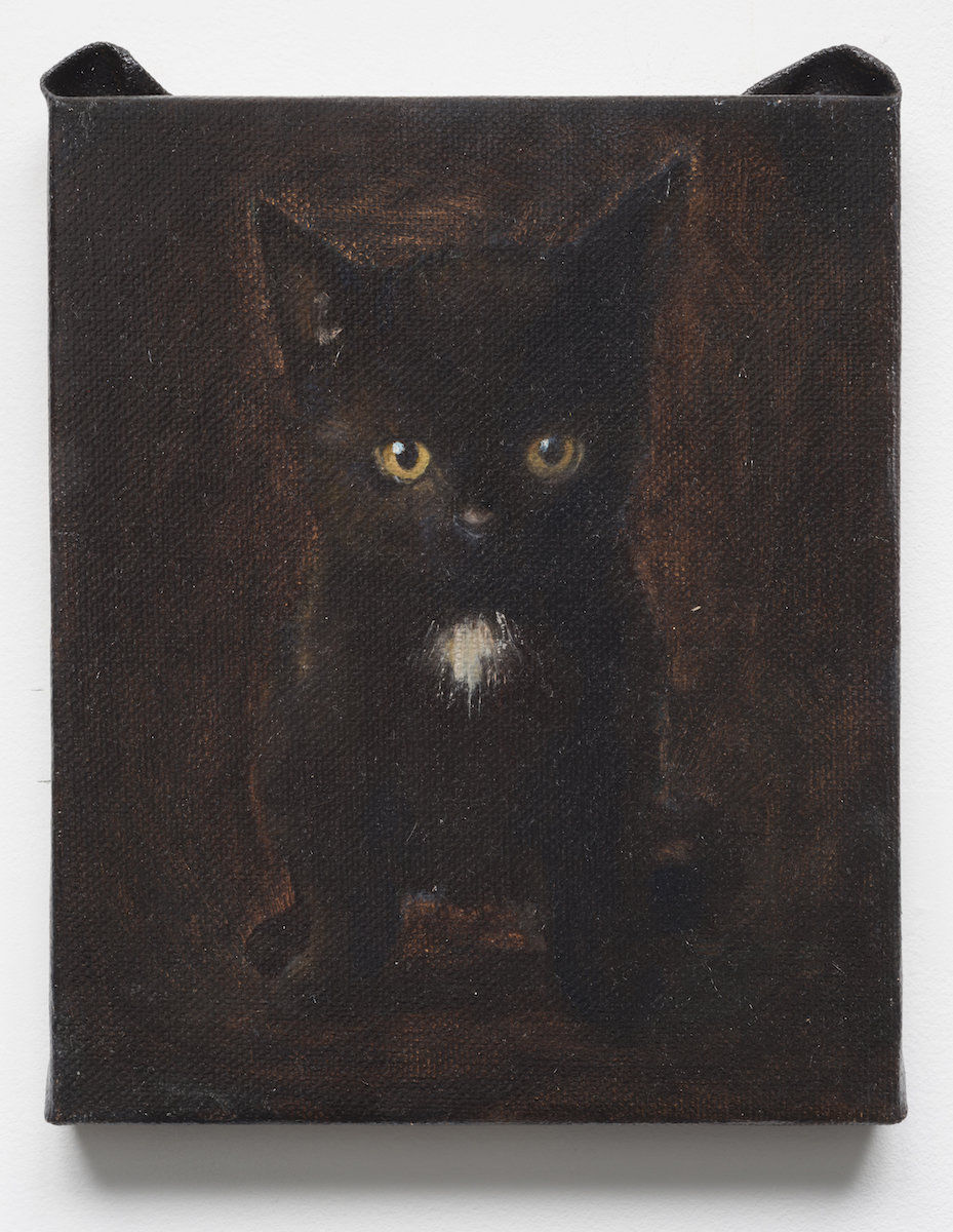 Ryosuke Kumakura; black cat; 2016