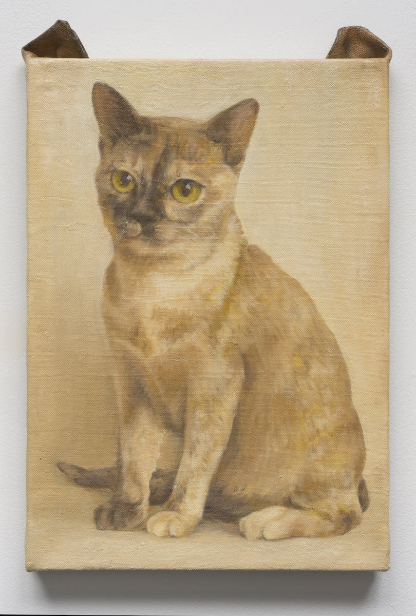 Ryosuke Kumakura; cat; 2017