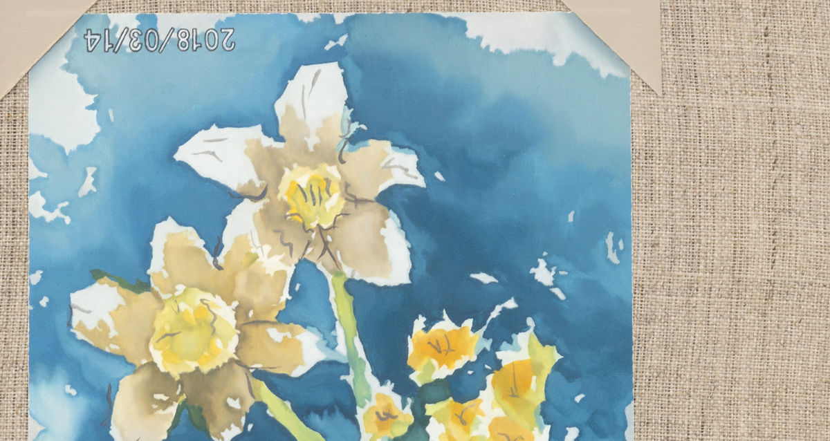 Mika Horibuchi; Watercolor of Daffodils; 2018