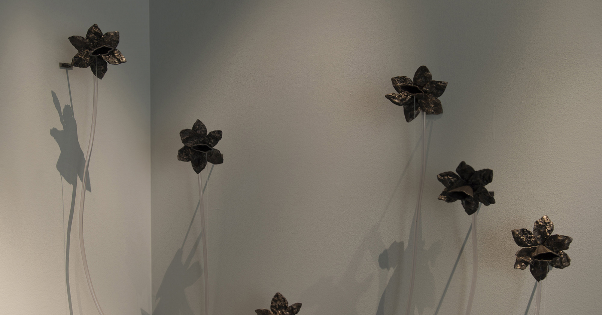 Not Quite Platonic: murmur // Daniel G. Baird