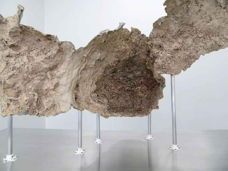 Daniel G. Baird; When I; 2016