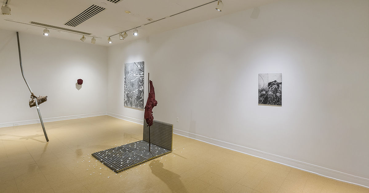 This artist’s work on display in Davidson explores notions of identity and place