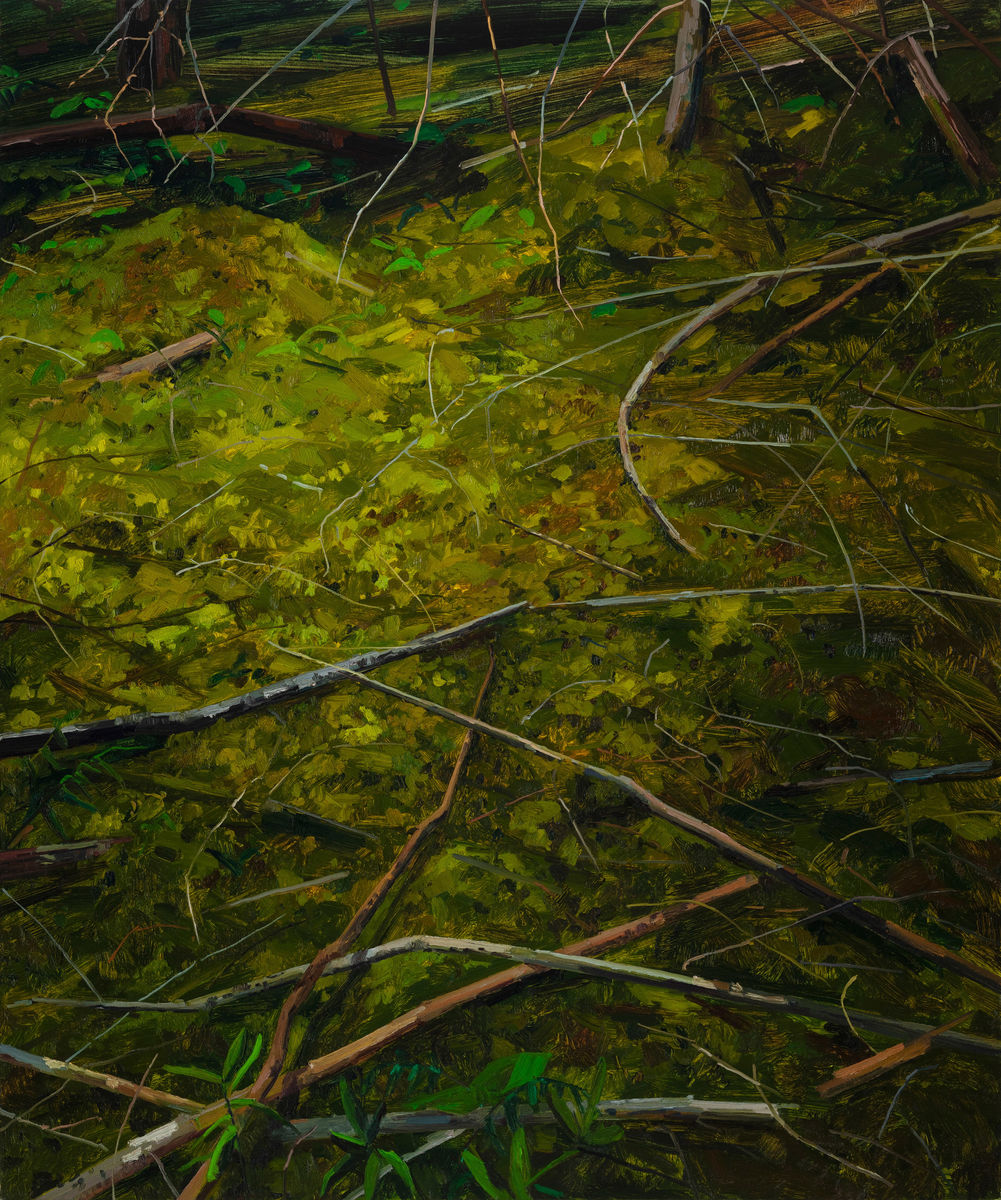 Claire Sherman; Moss and Branches; 2018