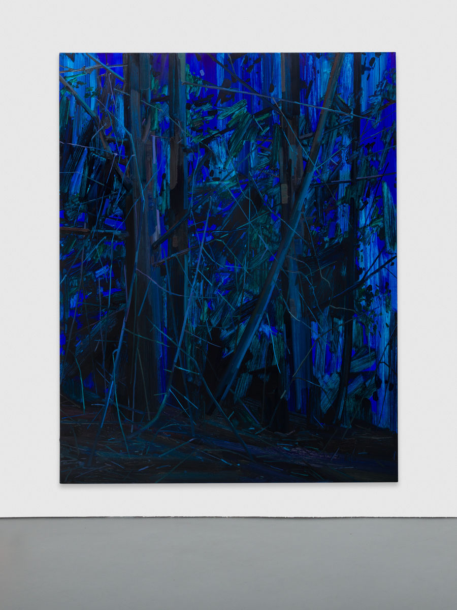 Claire Sherman; Trees and Night; 2016