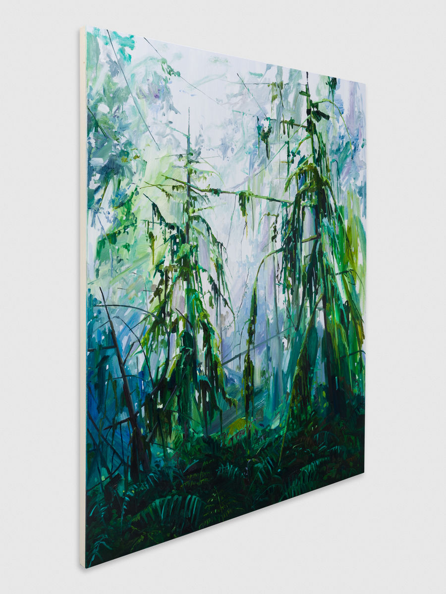 Claire Sherman; Trees and Ferns; 2017