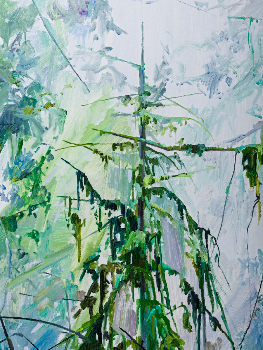 Claire Sherman; Trees and Ferns; 2017