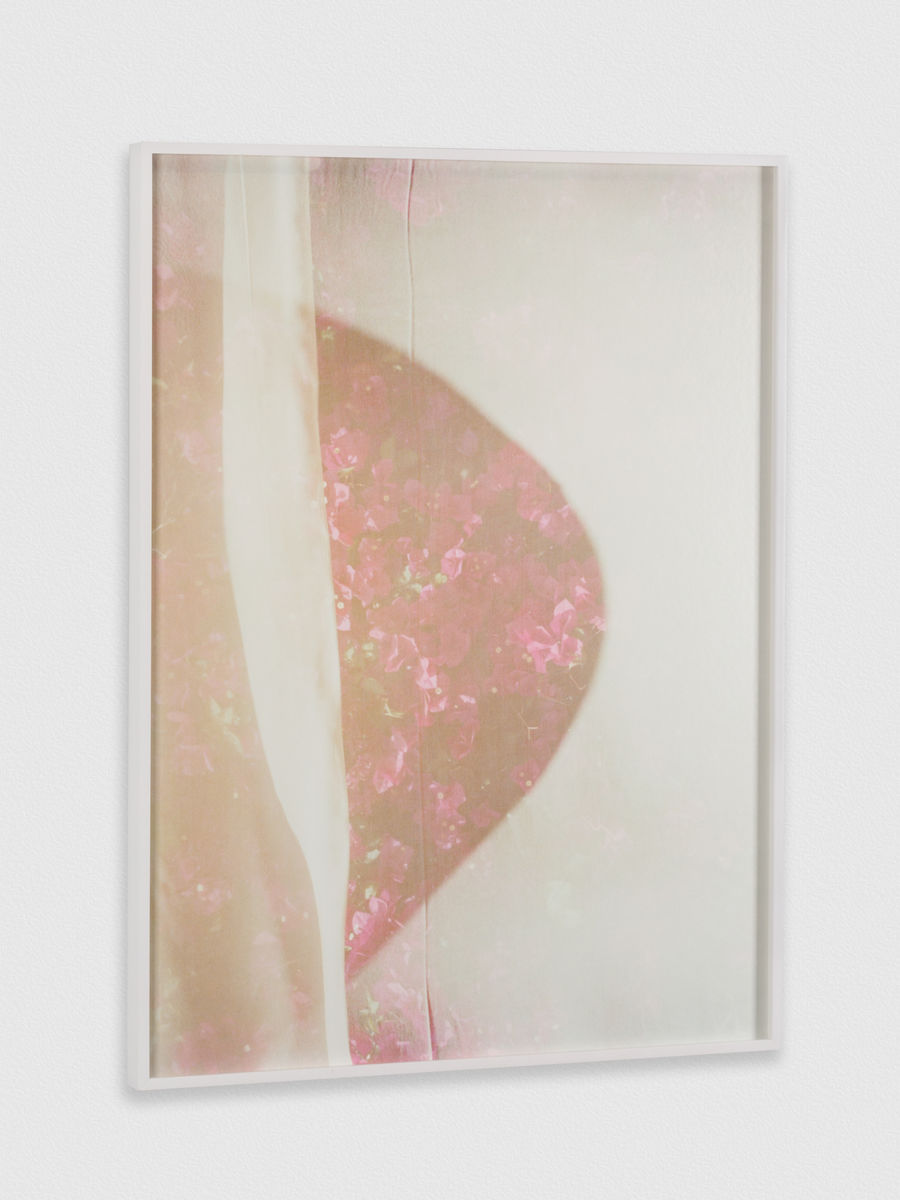 Melanie Schiff; Paper Flowers; 2015