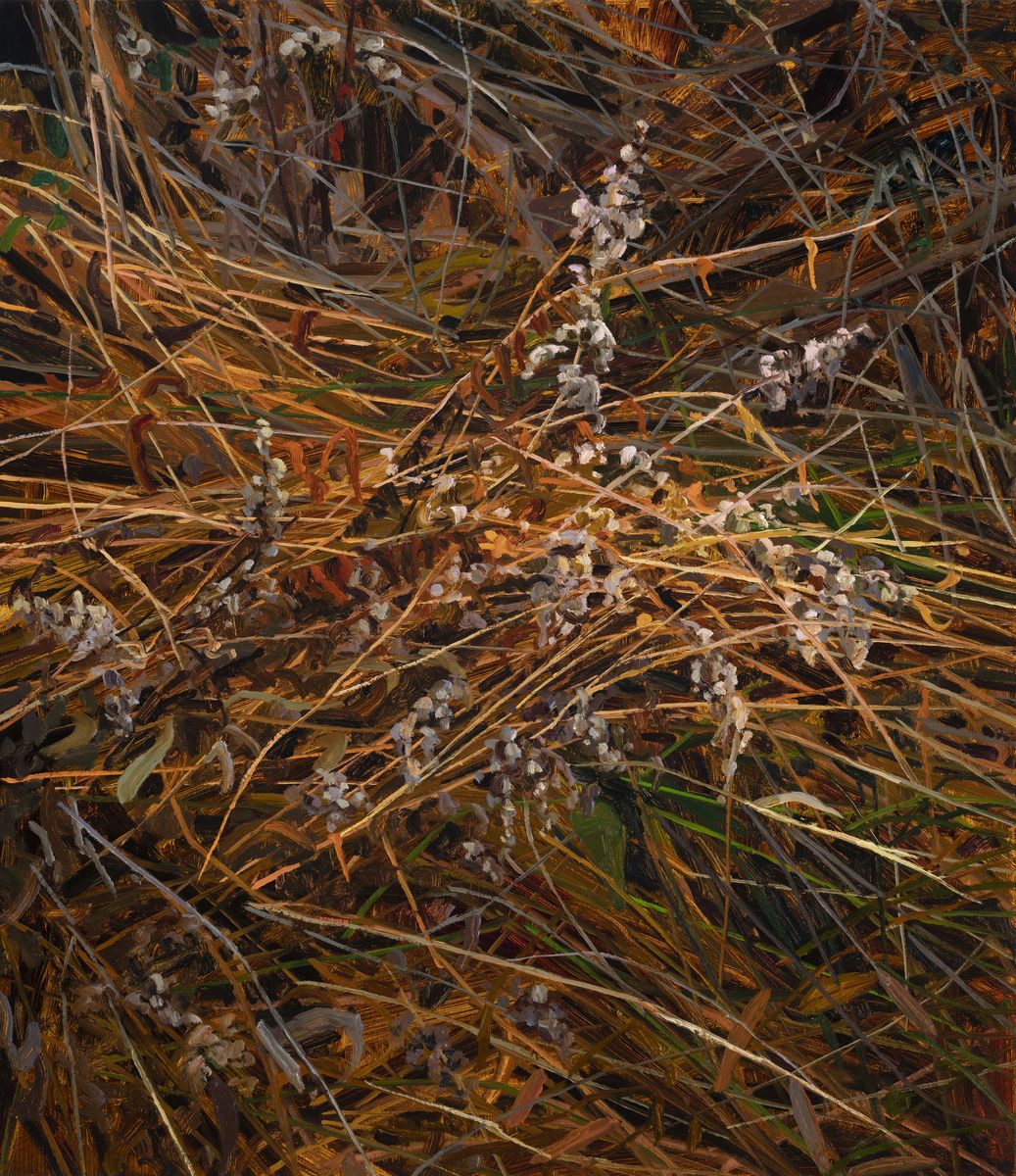 Claire Sherman; Wildflowers and Grass; 2020