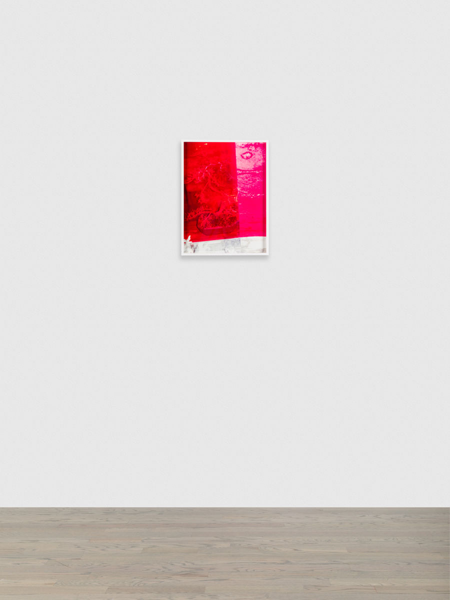 Melanie Schiff; Bonsai in Color; 2021