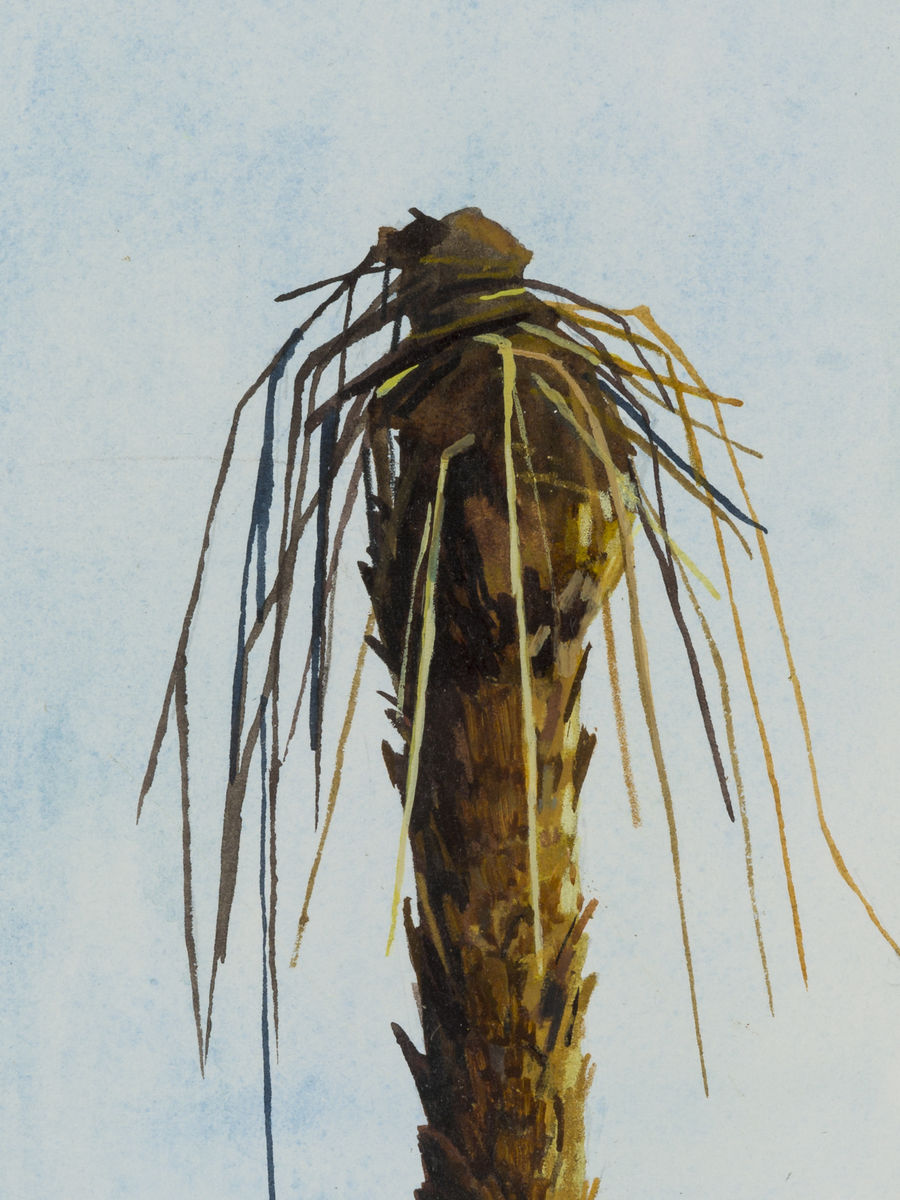 Claire Sherman; Palm Tree; 2014