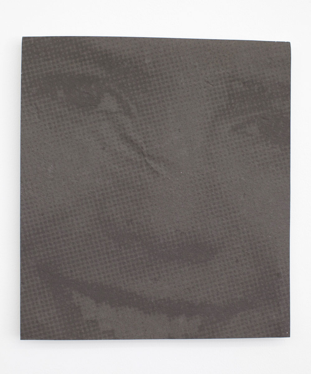 Samuel Levi Jones; 48 Portraits (Underexposed); 2012