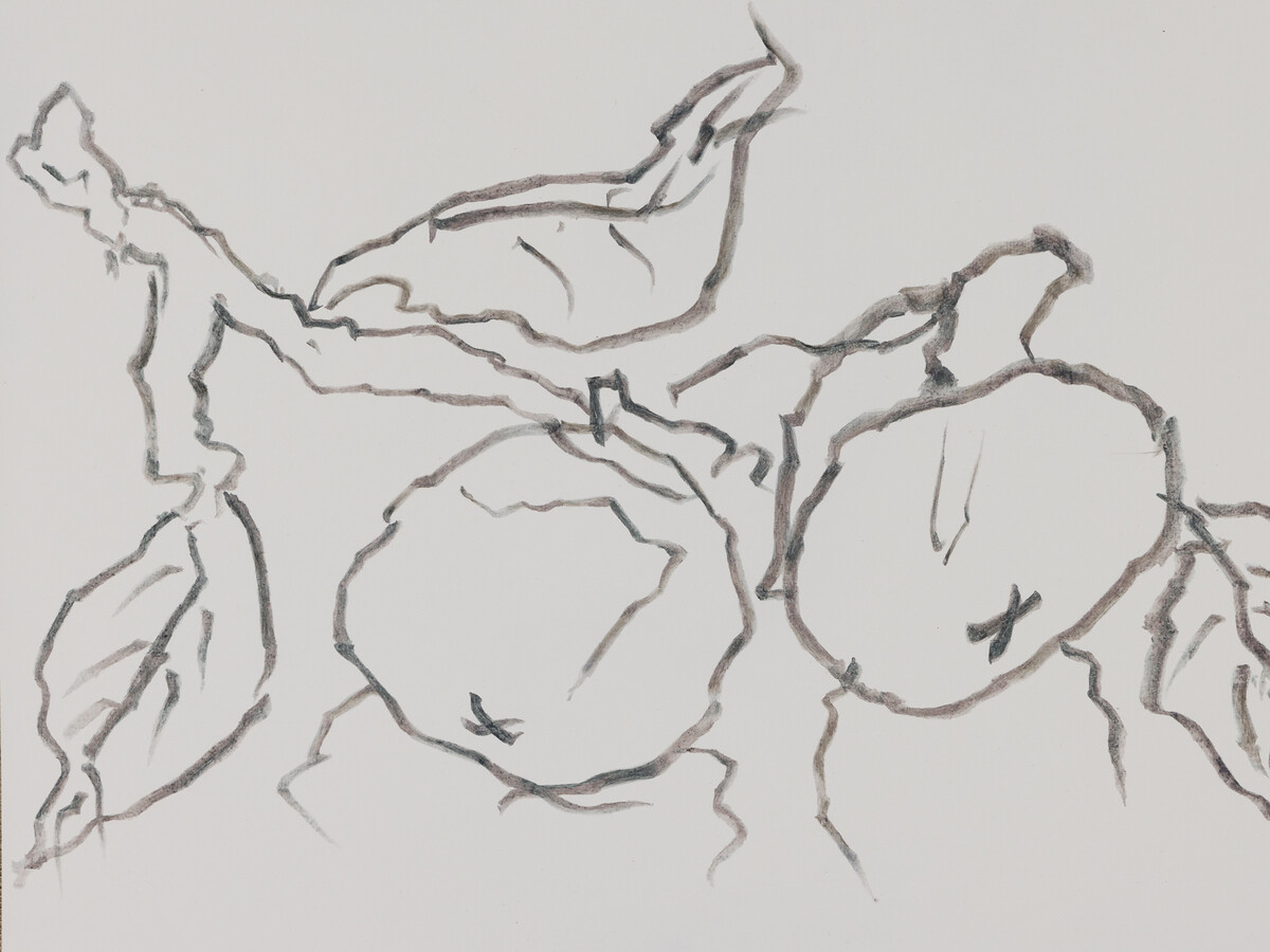 Mika Horibuchi; Persimmons in Colored Pencil; 2023