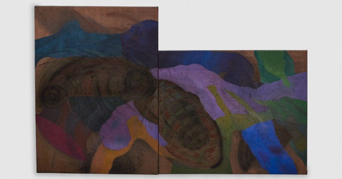 Bearing Witness to the Work of Kaveri Raina