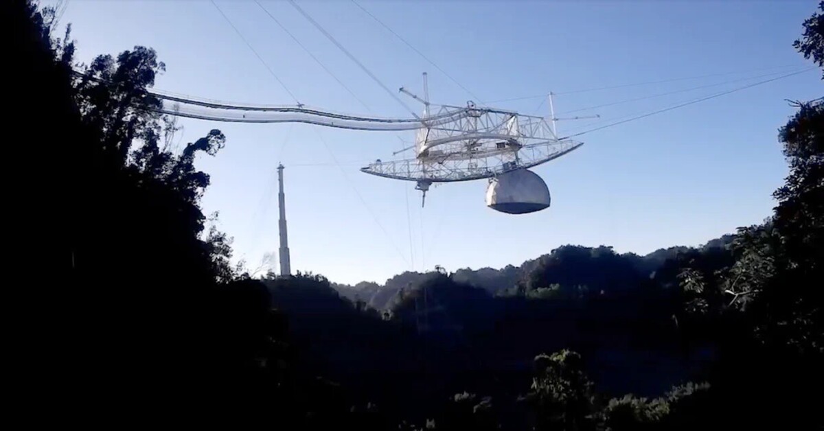 Uncomputables: On Alien Intelligences and Cybernetics