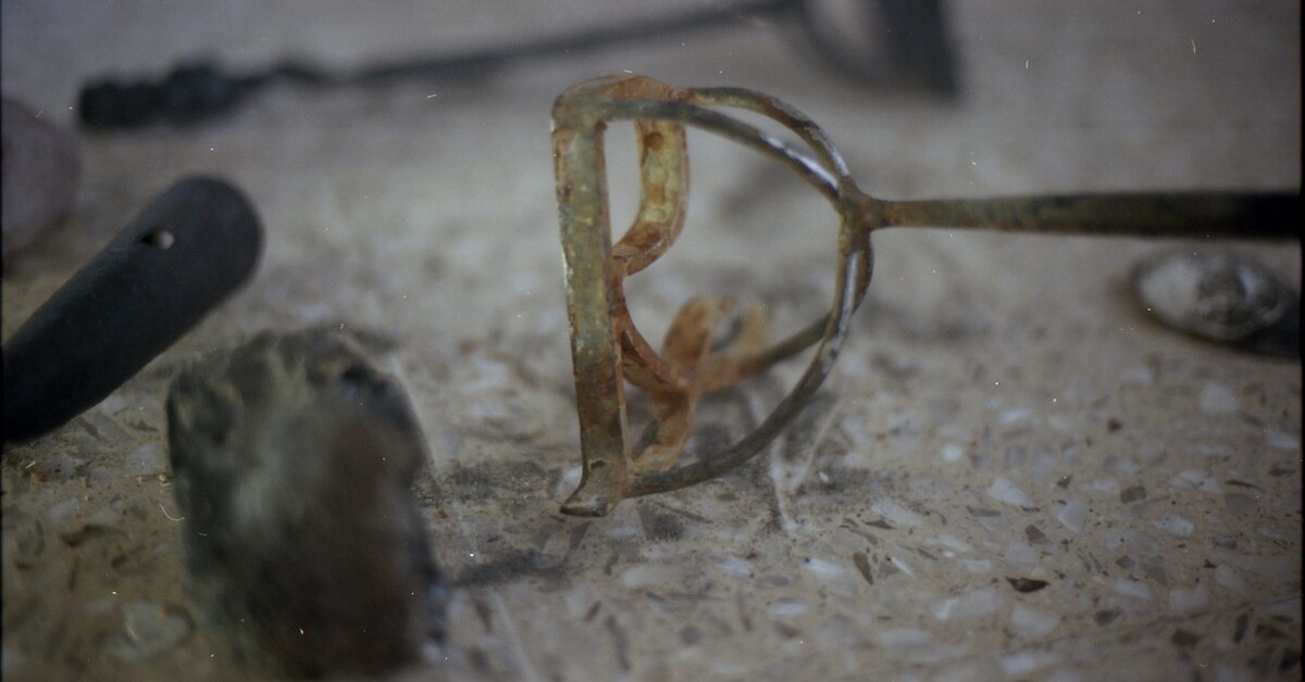 Hasta cuarenta cuerpos fueron trocados por un animal de carga