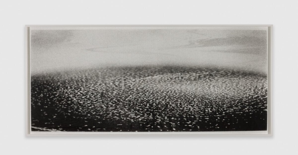 Love, Fiction and Deep Space: A Review of Brittany Nelson at Patron