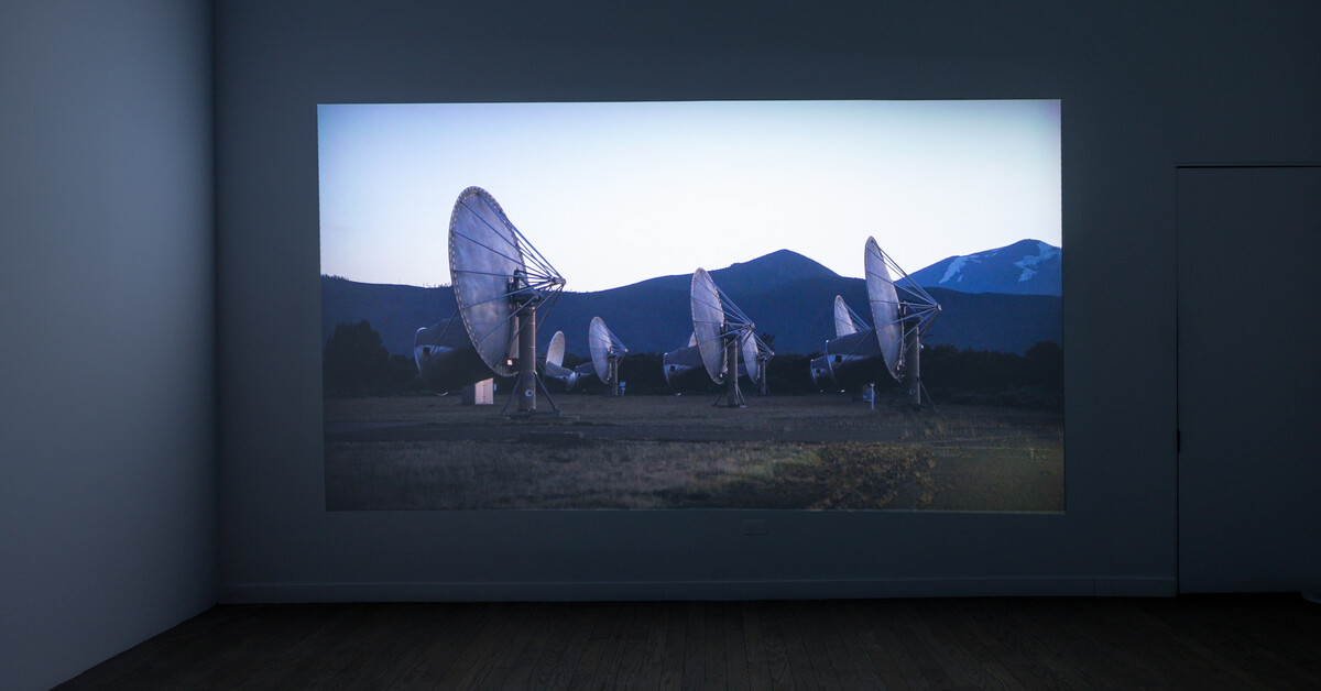 I can’t make you love me