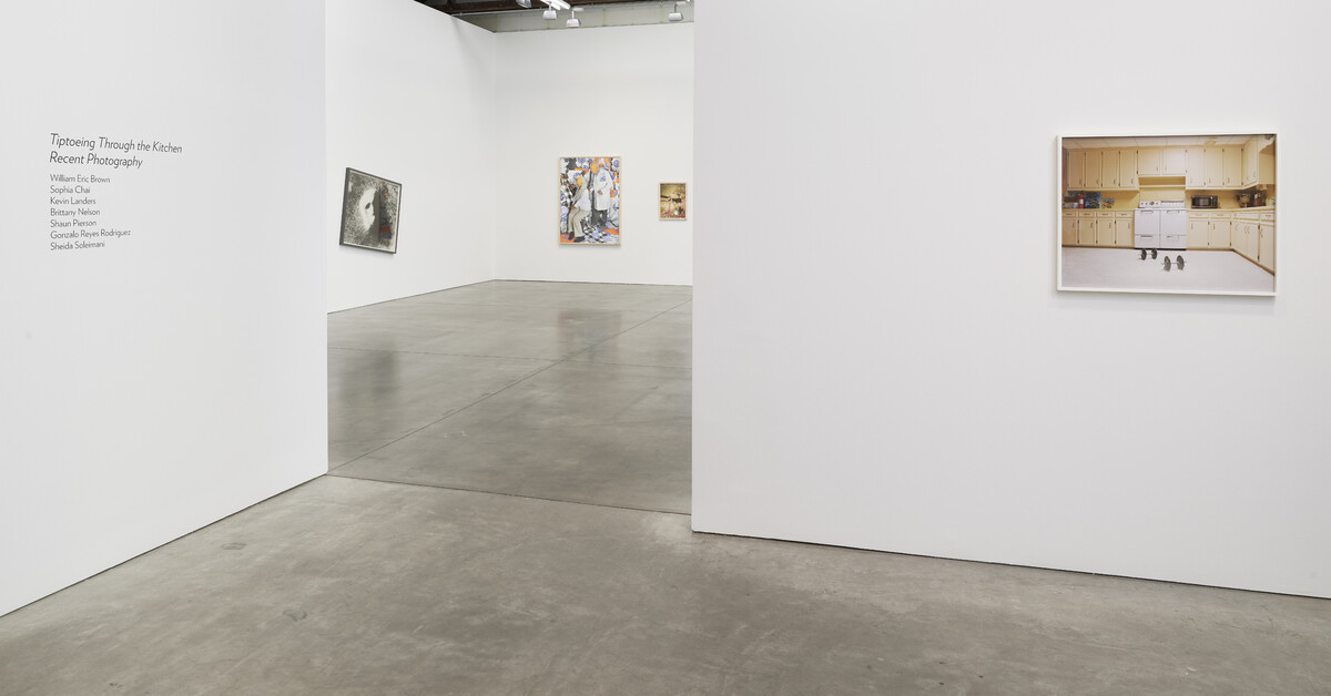 Tiptoeing Through the Kitchen, Recent Photography